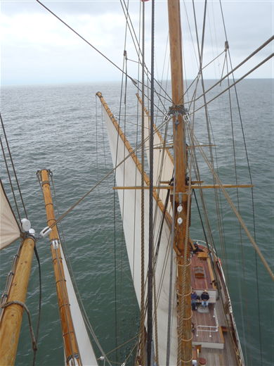 Uploadet: 1. juli 2010
Af: Jegvan Åkerstrøm
Størrelse: 390 x 520 pixels