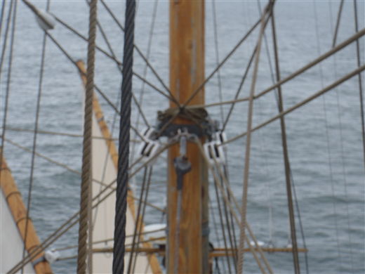 Uploadet: 1. juli 2010
Af: Jegvan Åkerstrøm
Størrelse: 520 x 390 pixels